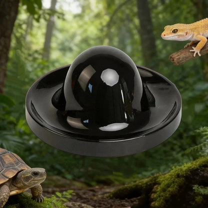 Plastic Reptile Feeder Bowl Round Wear Resistant Turtle Food Dish Escape Proof Wide Mouth Feeder Ledge for Amphibians