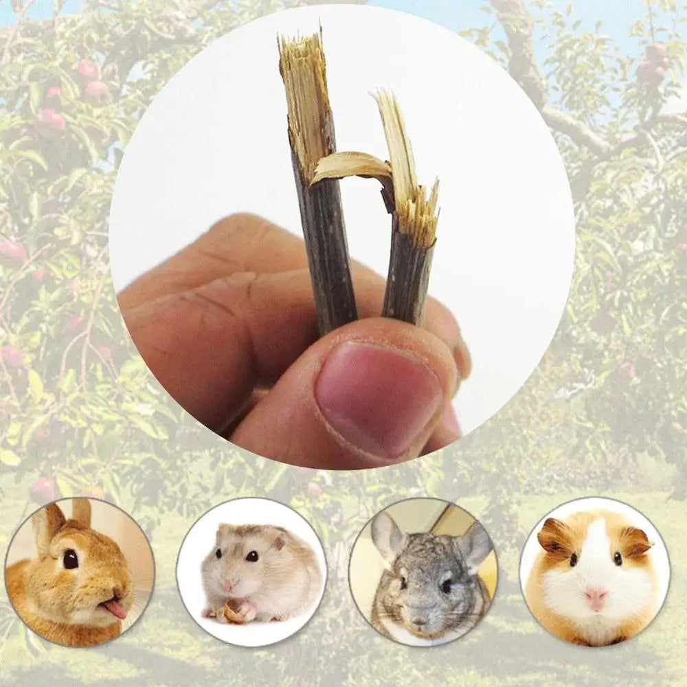 100% Natural Apple Branch Rabbit Chew Sticks Small Pet Chinchillas Netherlands Pig Hamster Bite Molars Clean Teeth Wooden Toys