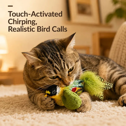 Bird Sound Cat Toy Brown Green Blue Color Options and Combination Set Plush Feather Hanging Teaser for Indoor Cats Chasing Play