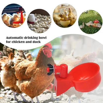 5-50Pcs Automatic Chicken Waterer Bird Feeder Poultry Farm Drinking Bowl for Chicken Duck Goose Drinking Water Farm Supplies