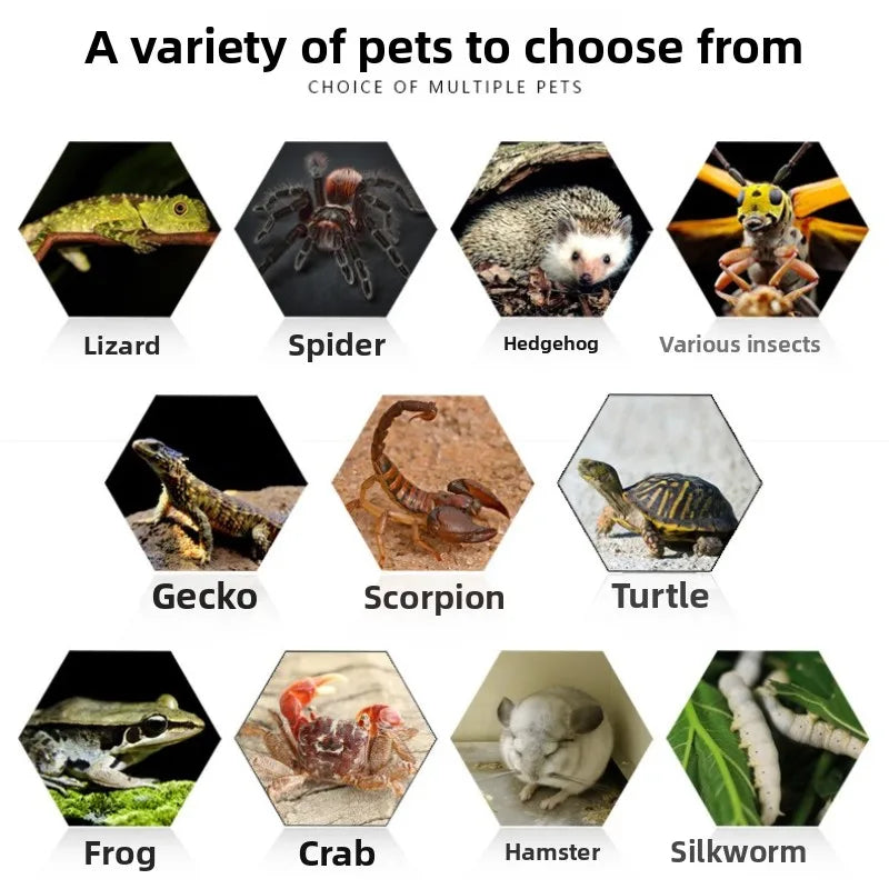 NOMOY Magnetic Sliding Lid Reptile Enclosure - Dual Opening Critter Cage for Crested Geckos, Frogs, Lizards, Snakes & Silkworms