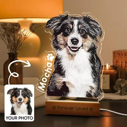 Personalized Pet Memorial Acrylic Night Light Custom Dog Cat Gift Bedroom Decoration Warm Ornament First Choice for Pet Fans