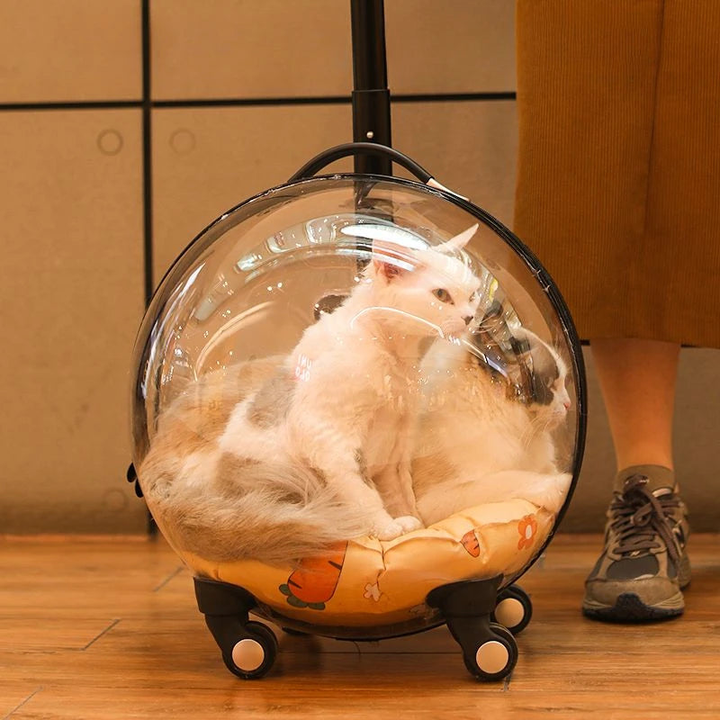Portable Cat Bag for Going Out Large Capacity Transparent Breathable Pet Trolley Case Cat Travel Bag Pet Supplies Cat nest