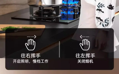 220V Haotaitai Double Motor Range Hood Kitchen Strong Suction Auto Clean Side Suction BBL