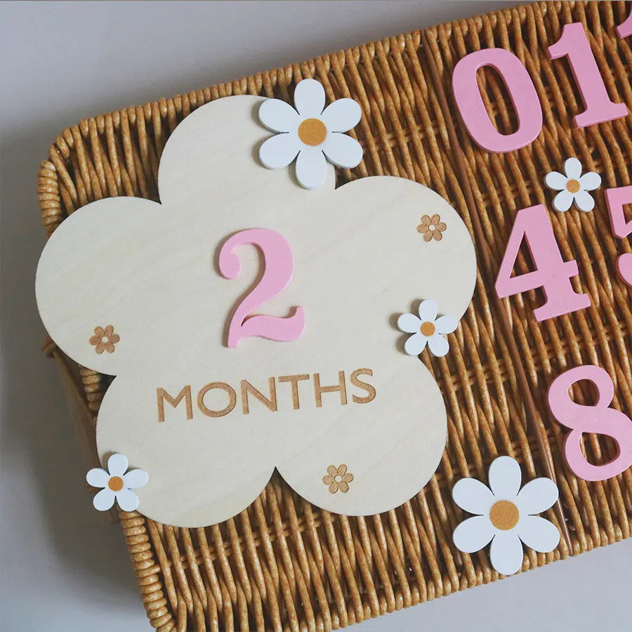 Wooden Flower Milestone Card Set, Wooden Milestone Birth Signs, Photography Milestone Cards, Growth Cards from 1 Month to 1 Year, Pregnancy Journey Milestone Photo Props, Christmas, New Year Gifts
