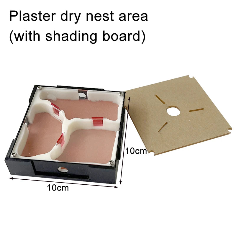 Acrylic Ant Farm Unlimited Expansion Ant Nest with Feeding Area Gypsum Ant House Pet Anthill Workshop Moisturizing Water Tower