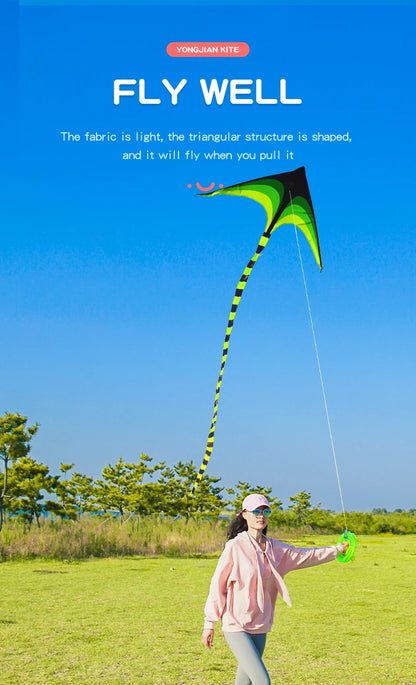 Adult-sized large delta-wing kite. Easy to fly. Extra-large delta-wing kite, equipped with a 6-meter long tail.