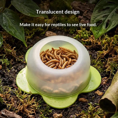 Anti Escape Reptile Feeding Dish Durable ABS Worm Food Bowl Easy Clean for Lizards Geckos Snakes Terrarium Tank