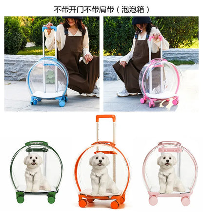 pet trolley case portable dog going out transparent trolley bag large capacity two cats