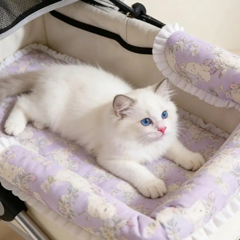 2025 New 2PCS Pet Strollers Cushion With Closures Soft Padding Pushchair Bedding Pad For Small Dog Travel Use