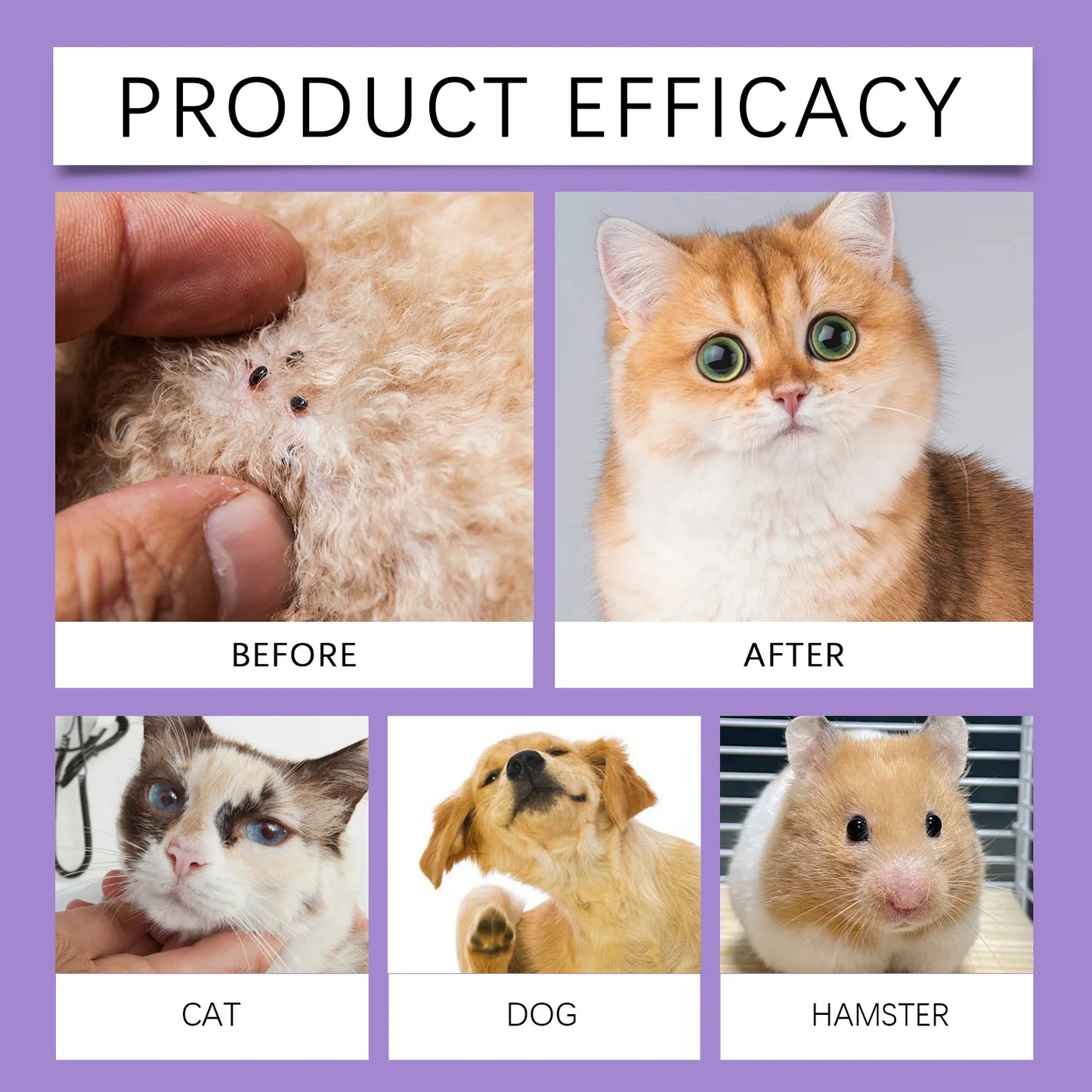 Pet Flea Spray Spray Effectively Removing Fleas Ticks Relieve Skin Itching Natural Ingredients Non Irritating Pet Flea Repellent
