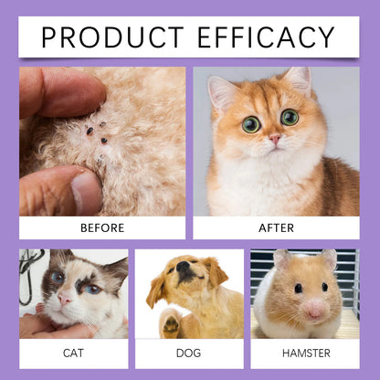 Pet Flea Spray Spray Effectively Removing Fleas Ticks Relieve Skin Itching Natural Ingredients Non Irritating Pet Flea Repellent