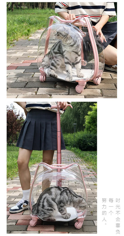 Pet Trolley Case, Fully Transparent Cat Case, Breathable Space Cabin Cat Bag, Outdoor Bag, Portable Small Dog Bag