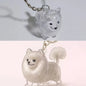 (HB05)Clear Puppy Hair Memorial Keepsake Capsule Pet Dog Fur Container DIY Pendant Keychain Decor Pet Lovers Home Display Gifts