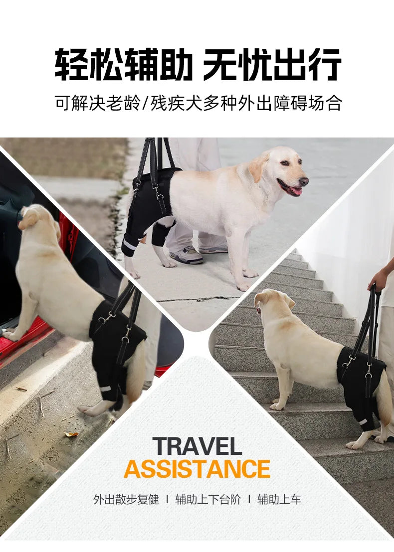 Dog Support Harness Elderly Dogs Adjustable Rehabilitation Mobility Aid Walk Comfortable Orthopedic Back Leg Lift Support Belt