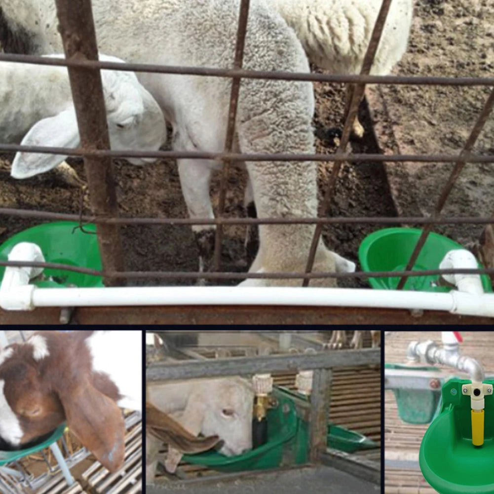 Livestock Sheep Goat Drinking Bowl Plastic Value Quality Water Fountain Cattle Sheep Dog Feeding Supplies Farm Animals Livestock