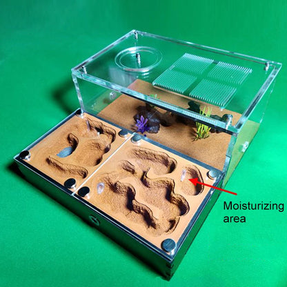 Concrete Ant Farm House Super Large Yellow Mud Ant Nest Gypsum Pet Anthill Insect Castle M Workshop Ant House with Hunting Area