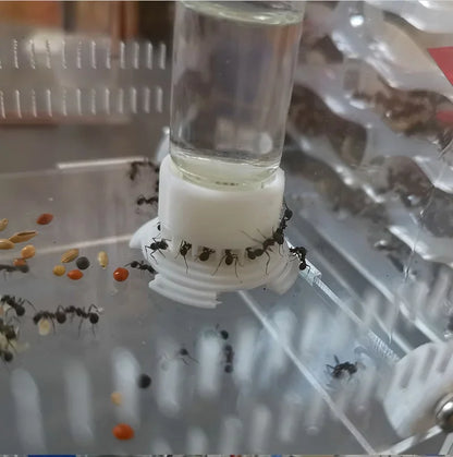 5-40ml Ant Farm Water Tower Anthill Water Bowl for Ant House Workshop Water Feeder Ant Nest Drinking Bottle Drinker