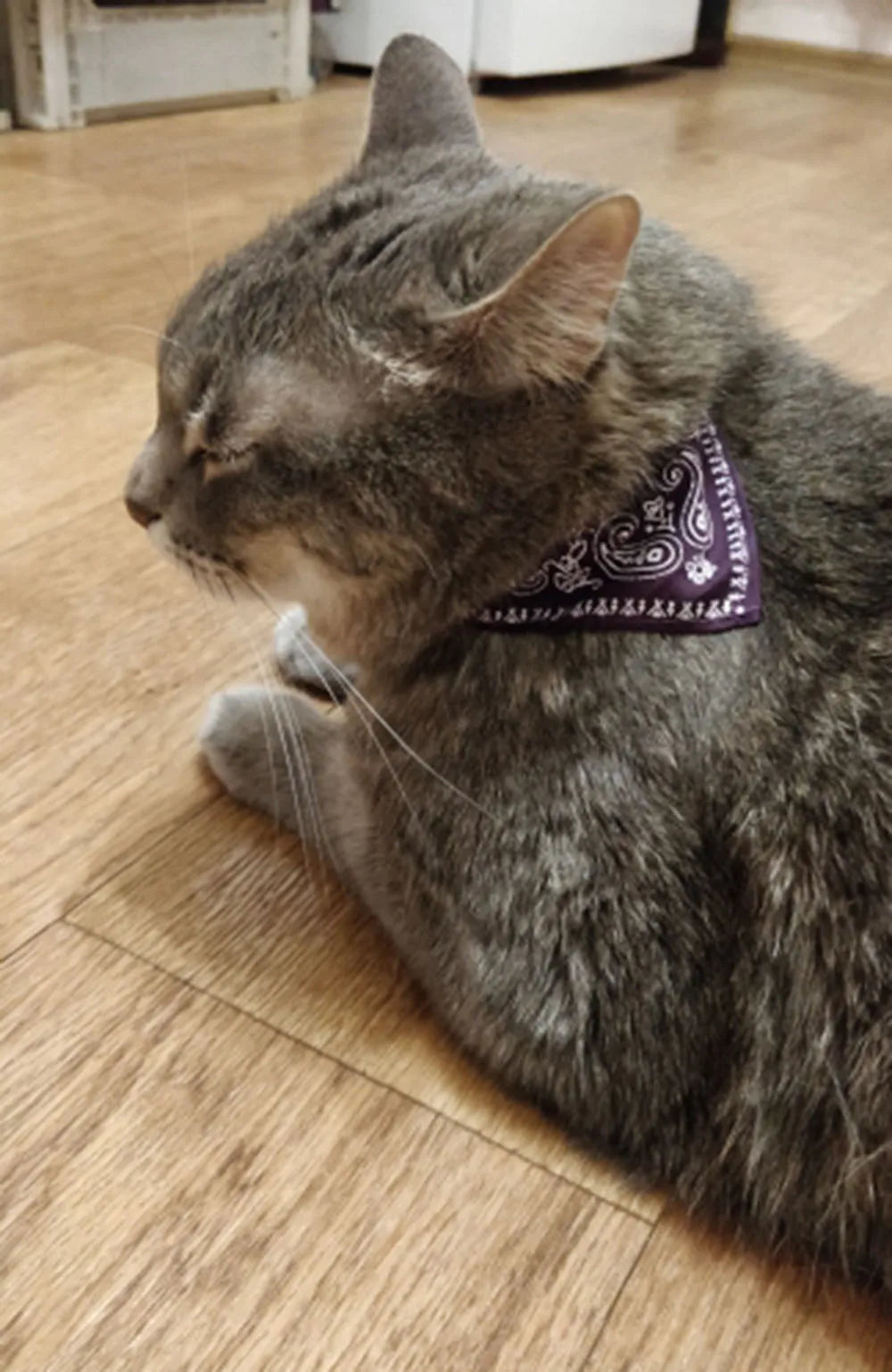 Adjustable Pet Puppy Cat Scarf Bandana Collar Neck Scarf For Small Dogs Kitten Saliva Towel PU Collar with Triangular Bandage