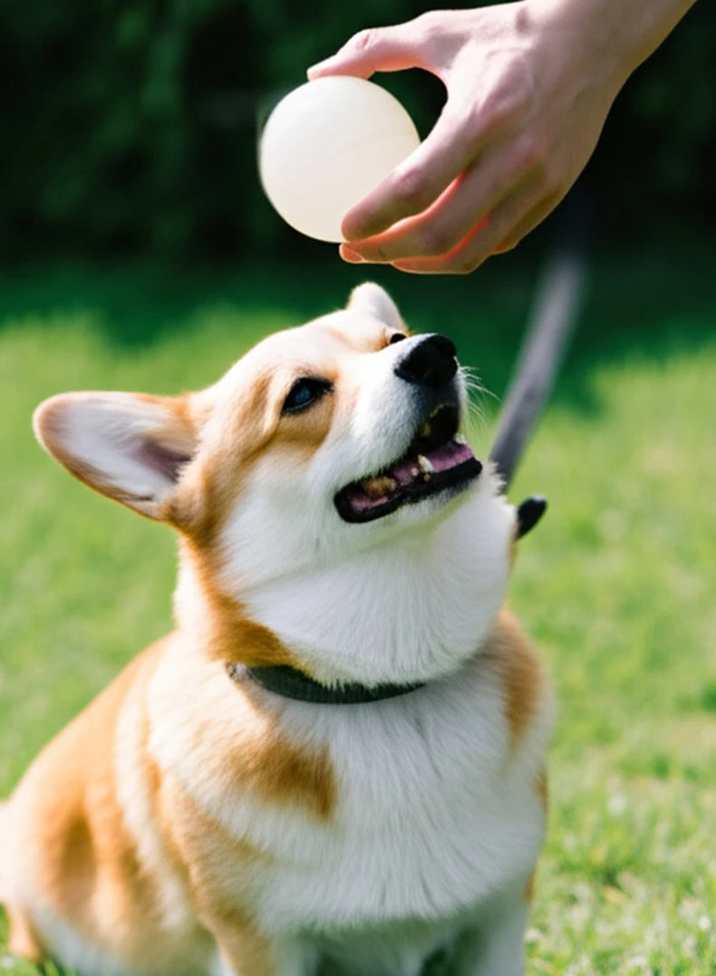 2PCS Dog Chew Toys Ball - Glow in The Dark, Durable for Teething, Pet Molar Toy To Relieve Boredom, Puppy Chew Supplies