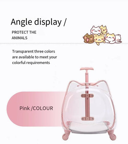 Pet Trolley Case, Fully Transparent Cat Case, Breathable Space Cabin Cat Bag, Outdoor Bag, Portable Small Dog Bag