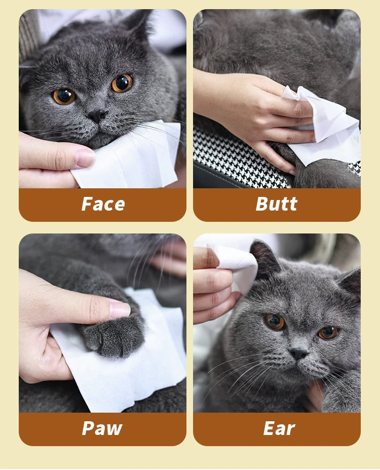 80PCS/pack Pet Wipes Disposable Pure Water Formula Pet Care Dog and Cat Health Cleaning Deodorizing Wipes Single-use