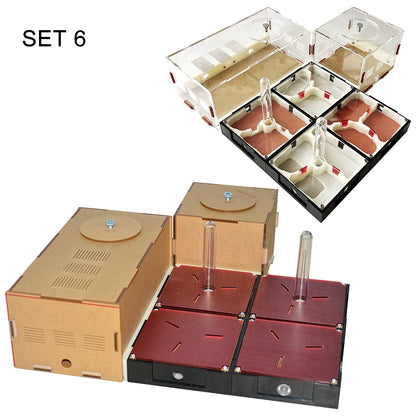 Acrylic Ant Farm Unlimited Expansion Ant Nest with Feeding Area Gypsum Ant House Pet Anthill Workshop Moisturizing Water Tower