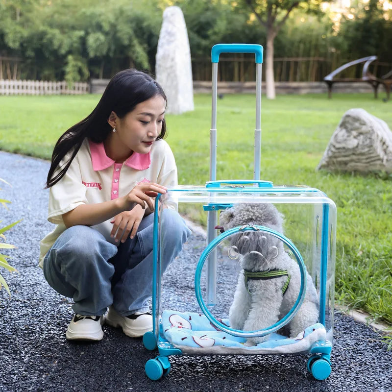 Pet Pull-Along Cart Cat Carrier, Large Capacity for Two Cats, Transparent Travel Trolley for Medium Dogs, Outdoor Pet Luggage