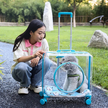 Pet Pull-Along Cart Cat Carrier, Large Capacity for Two Cats, Transparent Travel Trolley for Medium Dogs, Outdoor Pet Luggage
