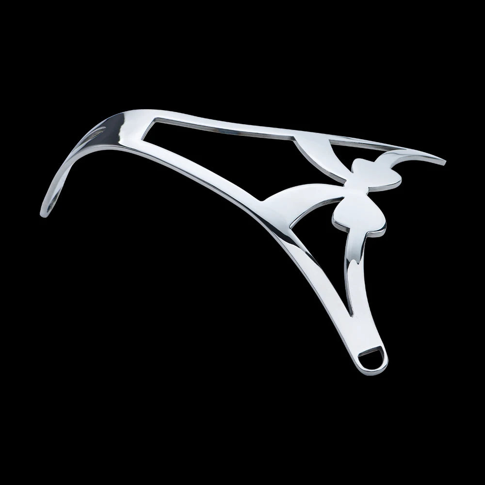 SHAZ Sexy Thong Women Panties Stainless Steel G strings Adjustable Waist Pant Heavy Bdsm Briefs Chastity Belt Sex Toys for Women