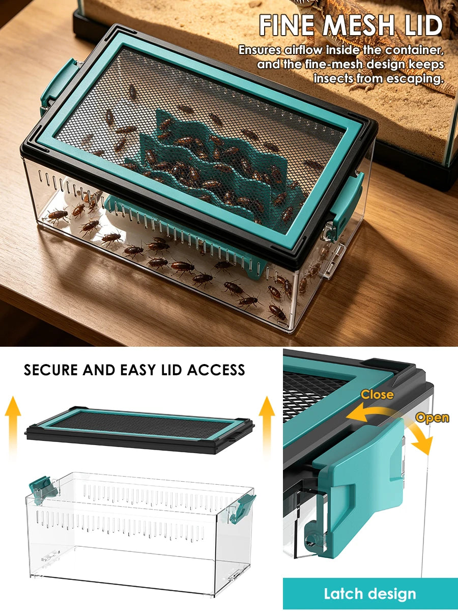 Live Feed Box Set for Bearded Dragons and Chameleons, Suitable for Raising Dubia Roaches and as a Small Reptile Enclosure