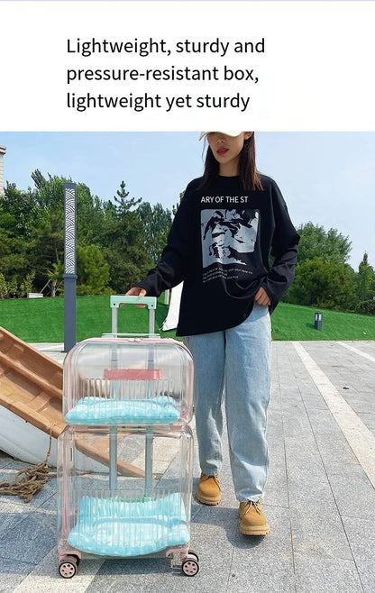 Pet Outdoor Suitcase Portable Car Mounted Double-layer Transparent Breathable Cat and Dog Tour Cat Bag