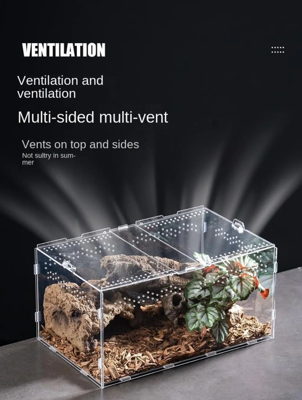 New Acrylic Reptile Habitat Anti-Escape Clear Spider Feeding Case Multiple Size Arboreal Small Pet Cage for Chameleon Clear