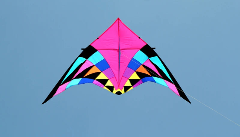 Free shipping large delta kites professional for adults kites flying toys sport kites windsurfing show kites fried flight kites
