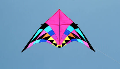 Free shipping large delta kites professional for adults kites flying toys sport kites windsurfing show kites fried flight kites