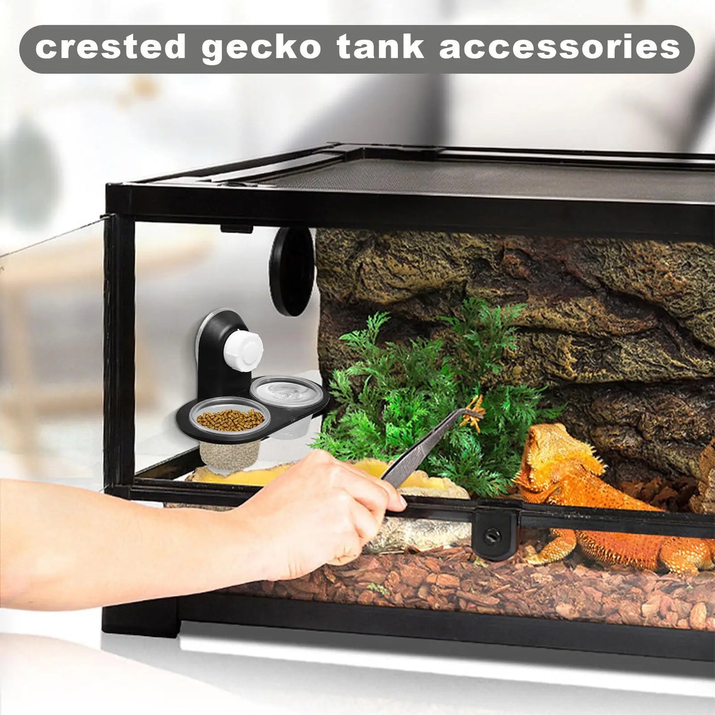 Reptile Tank Accessories Insect Spider Ants Nest Snake Gecko Food Water Feeding Bowl Terrarium Breeding Feeders Box Pets Supplie