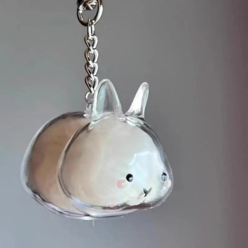 Cartoon Pet Hair Memorial Transparent Storage Box Keyring Cute Animal Rabbit Fur Organizer Keychain Bag Pendant Pet Souvenirs