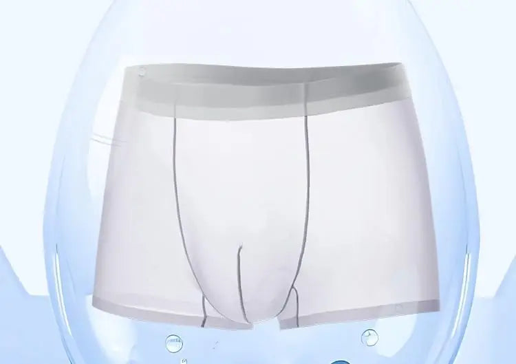 New Men Boxer Transparent Lightweight Men Underwear Elastic Mid-Waist U-Convex Thin Perspective Shorts Briefs Seamless Panties