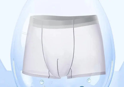 New Men Boxer Transparent Lightweight Men Underwear Elastic Mid-Waist U-Convex Thin Perspective Shorts Briefs Seamless Panties