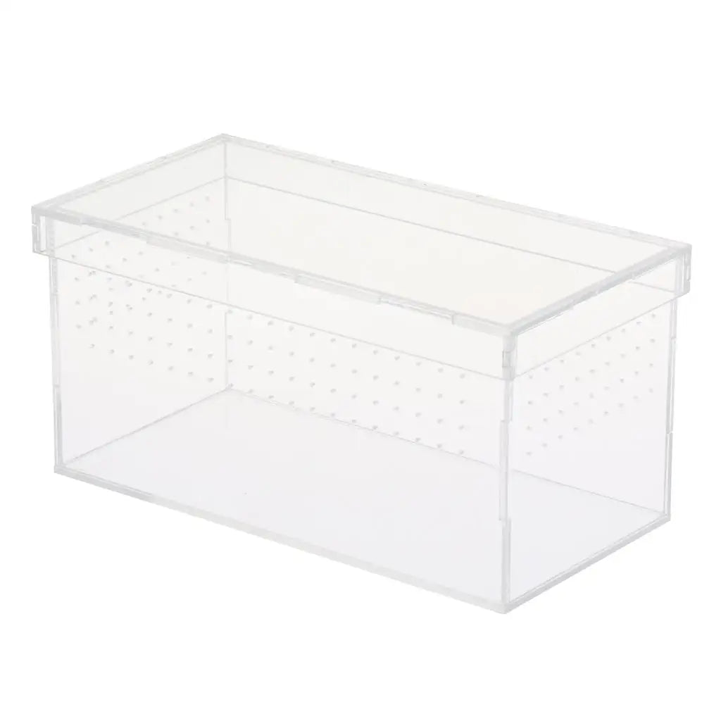 Plastic Reptile Vivarium Terrarium Easy to Observe with Reptile Terrarium Accessories for Small Animal Care