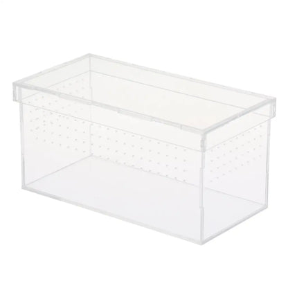 Plastic Reptile Vivarium Terrarium Easy to Observe with Reptile Terrarium Accessories for Small Animal Care