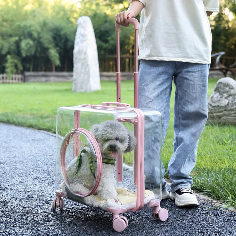 Pet Pull-Along Cart Cat Carrier, Large Capacity for Two Cats, Transparent Travel Trolley for Medium Dogs, Outdoor Pet Luggage