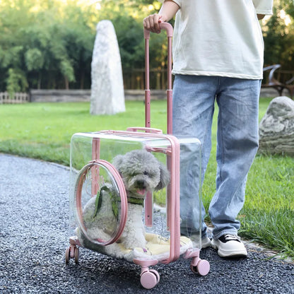Pet Pull-Along Cart Cat Carrier, Large Capacity for Two Cats, Transparent Travel Trolley for Medium Dogs, Outdoor Pet Luggage