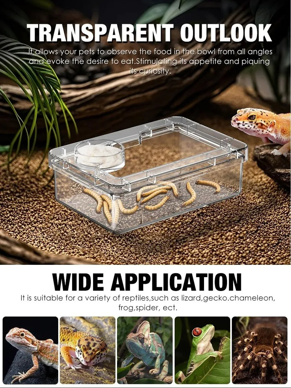 Reptile Lizards Geckos Feeding Bowls Anti Overturning Transparent Water Bowls Anti Escape