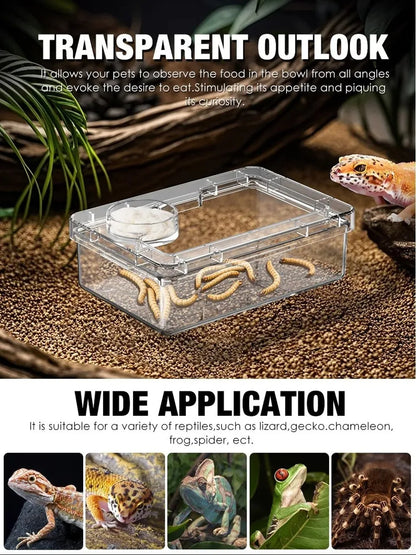 Reptile Lizards Geckos Feeding Bowls Anti Overturning Transparent Water Bowls Anti Escape