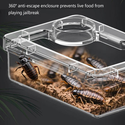 Reptile Lizards Geckos Feeding Bowls Prevent Tenebrio Molitor and Blaptica Dubia Anti Overturning Trough Feeder Transparent