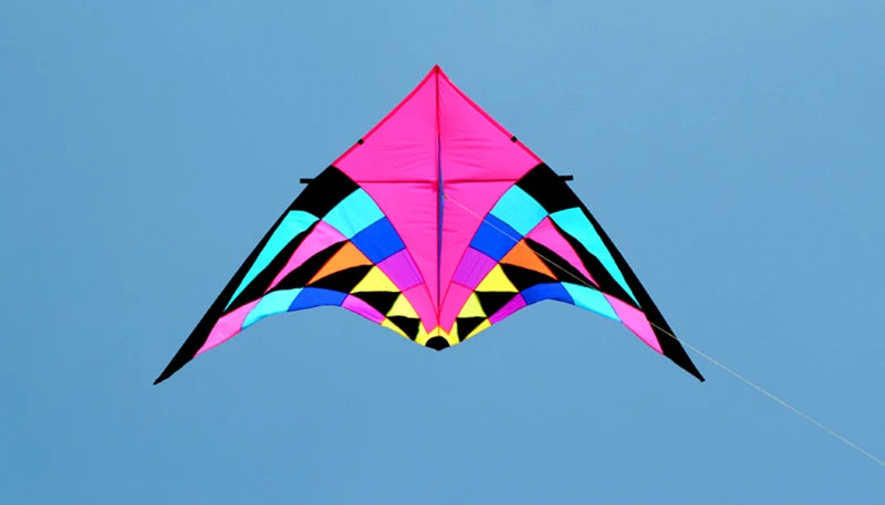Free shipping large delta kites professional for adults kites flying toys sport kites windsurfing show kites fried flight kites