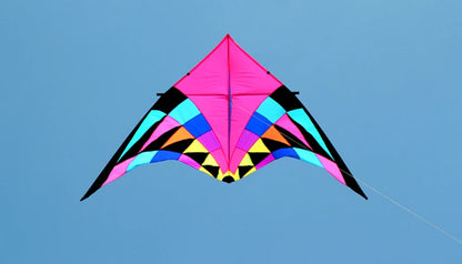 Free shipping large delta kites professional for adults kites flying toys sport kites windsurfing show kites fried flight kites