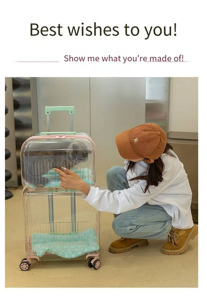 Pet Outdoor Suitcase Portable Car Mounted Double-layer Transparent Breathable Cat and Dog Tour Cat Bag