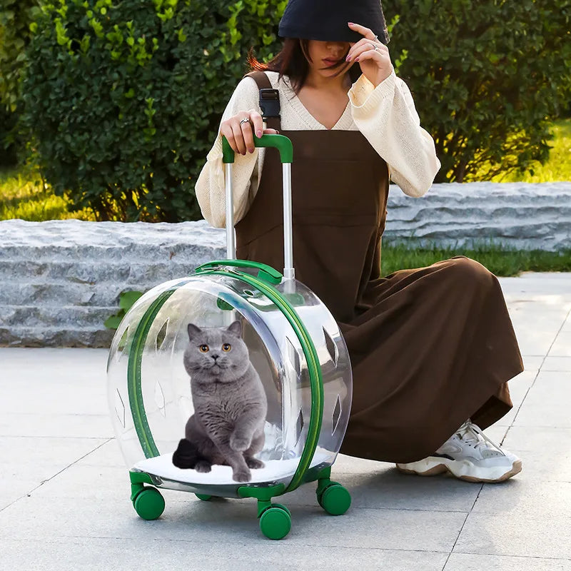 High Quality Pet Suitcase with Shoulder Straps, Portable for Dogs To Go Out Transparent Bag, Space Cabin, Cat Bag Large Capacity